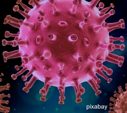 Corona-Virus