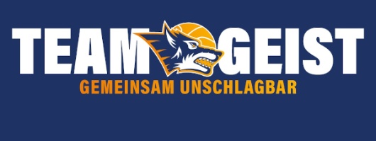 20201209-RostockSeawolves-Banner Bild
