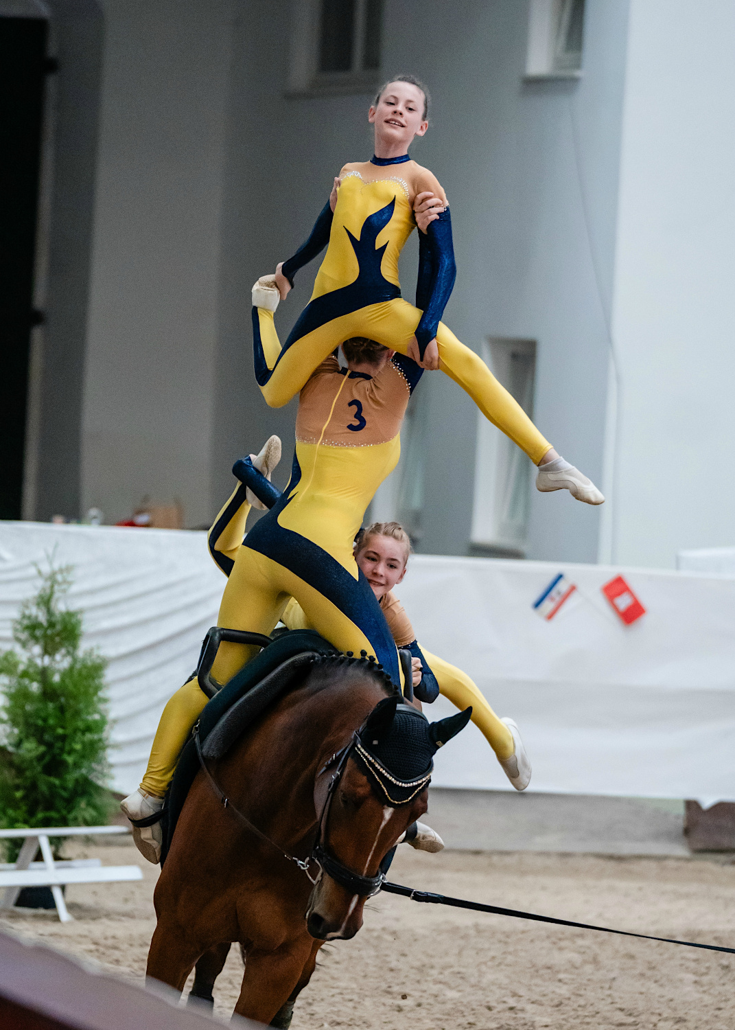 /MAKO/News/News-Bilder-2023/20230711_LM_Voltigieren_4.jpg