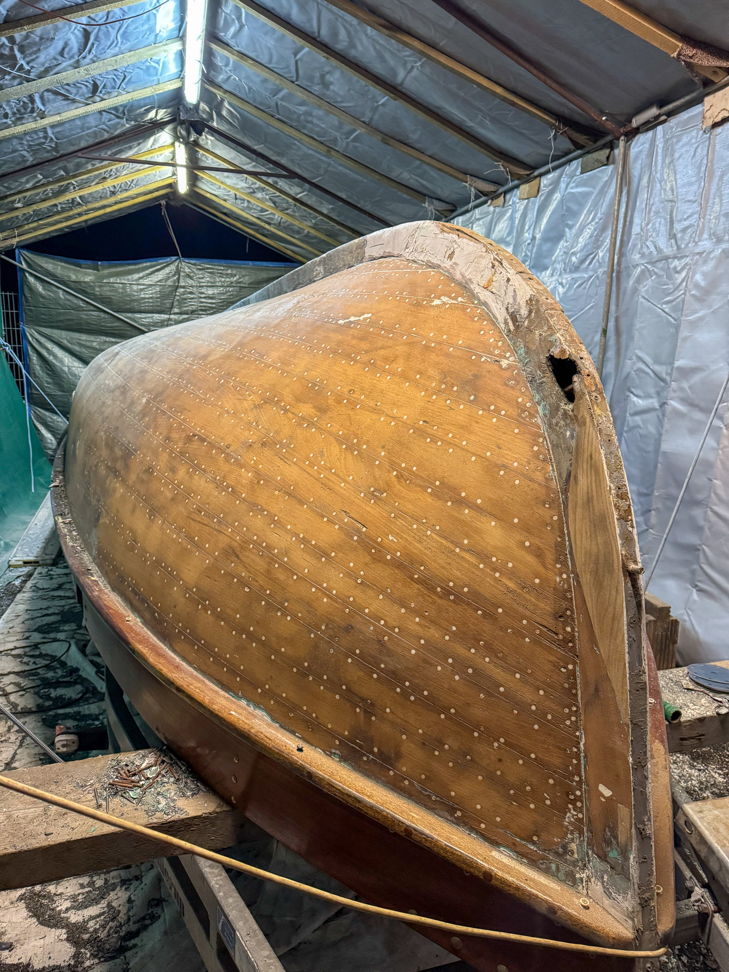/MAKO/News/News-Bilder-2024/20241210_Segelkutter-Pamir.jpg