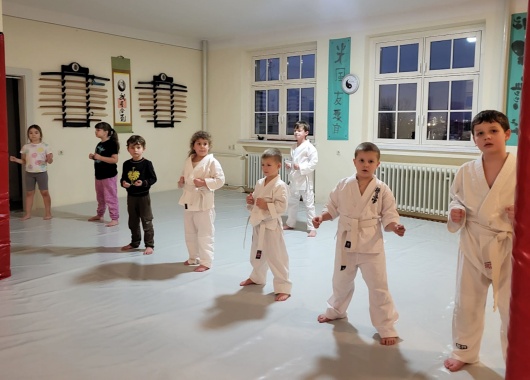 /MAKO/News/News-Bilder-2024/20241213_Karate-1.jpg