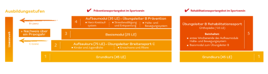 /bildung-im-sport/bilder/Ausbildungsstruktur-Uebungsleiter-B.png