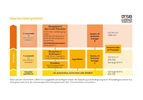 Ausbildungsstruktur - sportartübergreifend