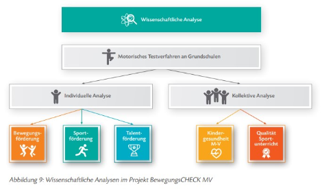 Individuelle und kollektive Ergebnisanalyse