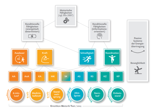 /sportwelten/bilder_sportwelten/01_sportentwicklung/bewegungs-check/BW-Check_koordFaeh-Schema.PNG